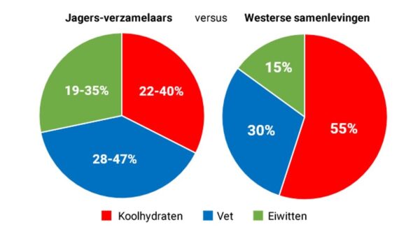 Hoeveel koolhydraten per dag om af te vallen? - Menuut